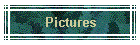 Pictures